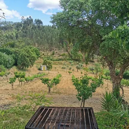 Cantinho Da Alice Family