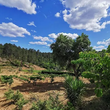 Cantinho Da Alice Family *