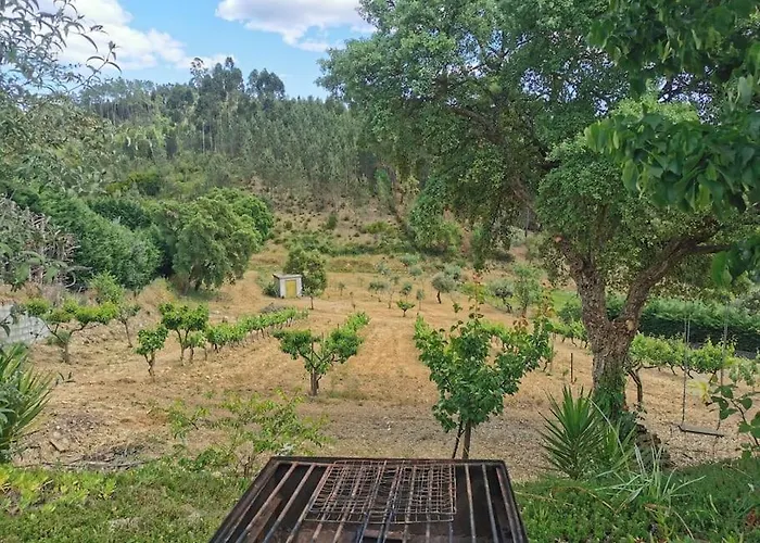 Cantinho Da Alice Family