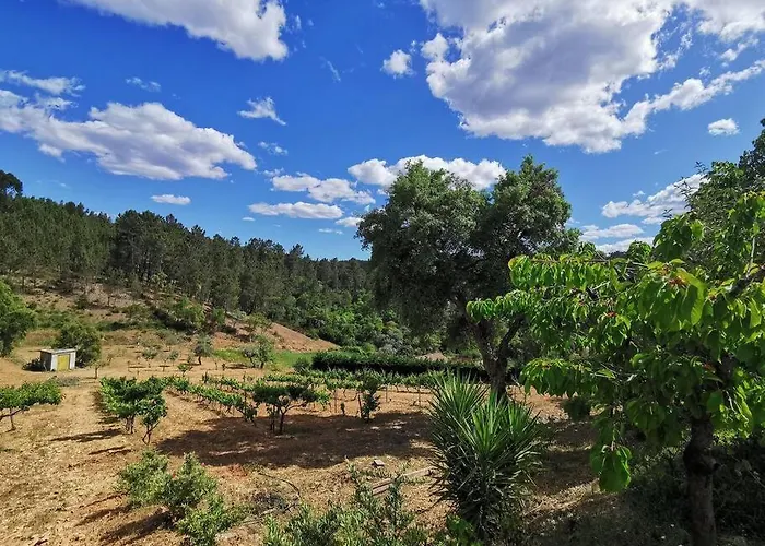 Cantinho Da Alice Family *